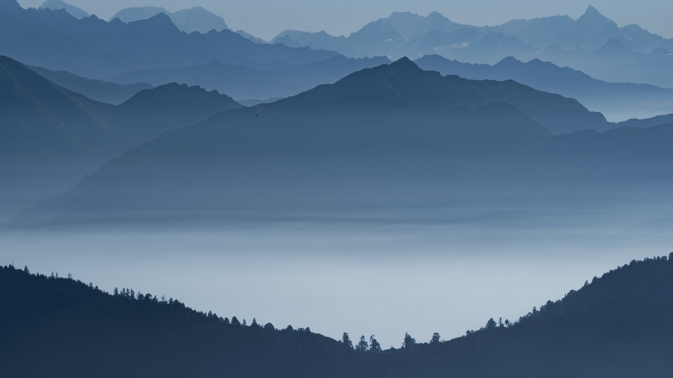 Roadmap for Digital Transformation